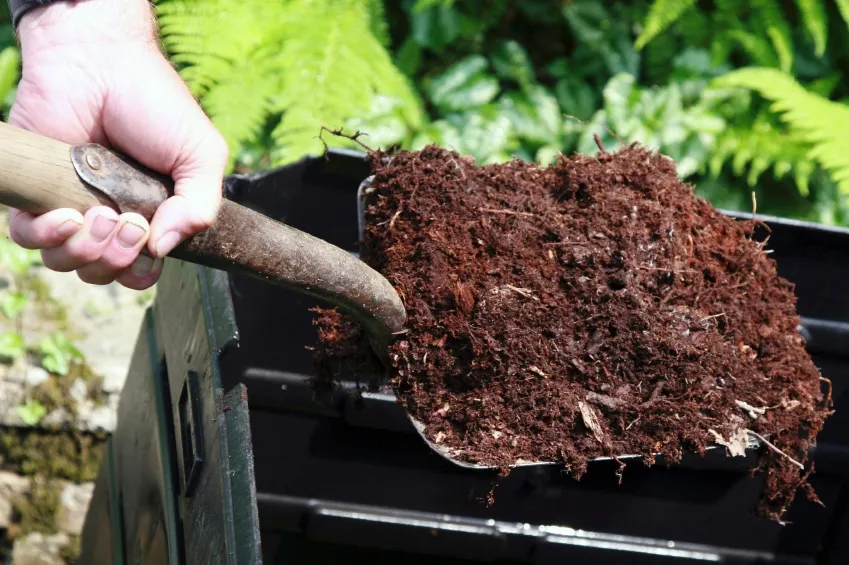 A trowel lifting dark, finished compost from a bin