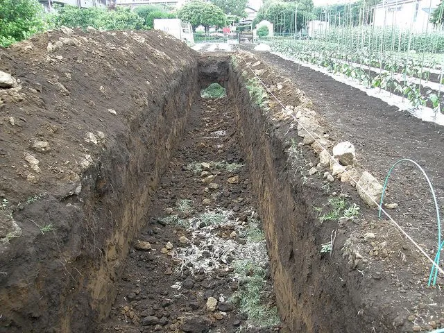 A long trench dug for burying compost in a vegetable garden