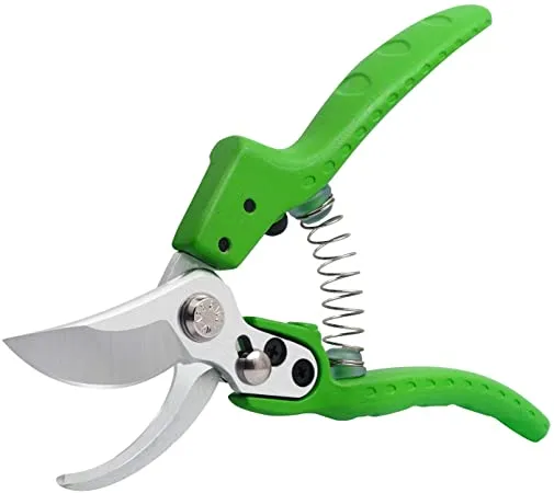 Will's Sword Pruning Clippers for the Garden