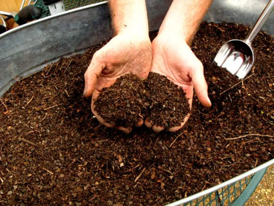Bins of finished garden compost
