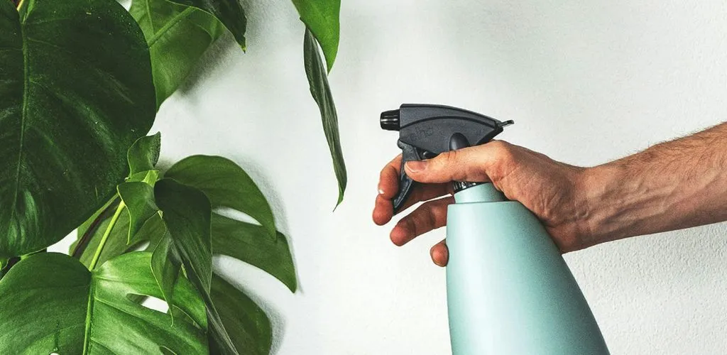 Get Rid of Tiny Black Bugs Naturally