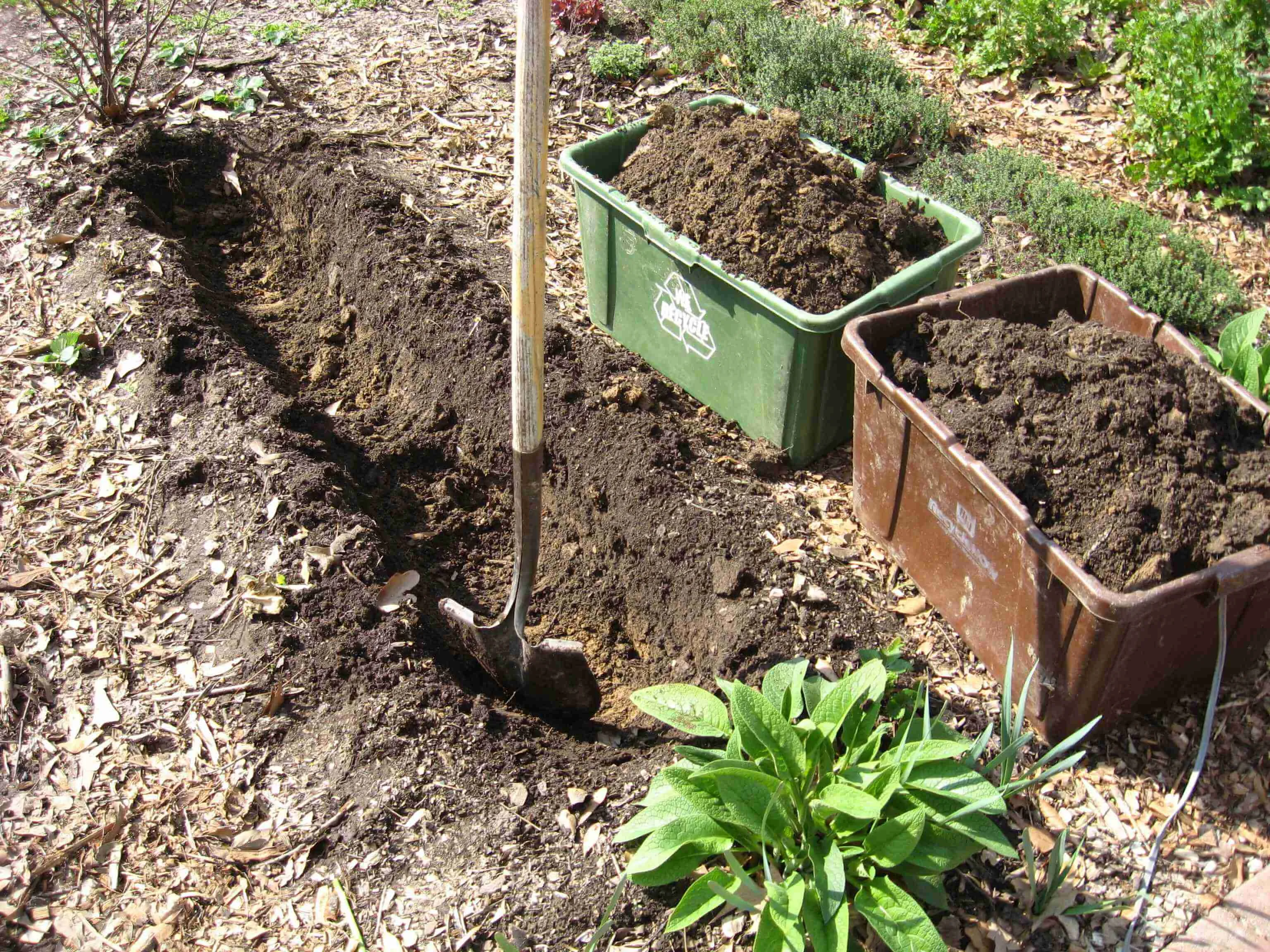 Digging finished compost into a garden bed beside two collection bins