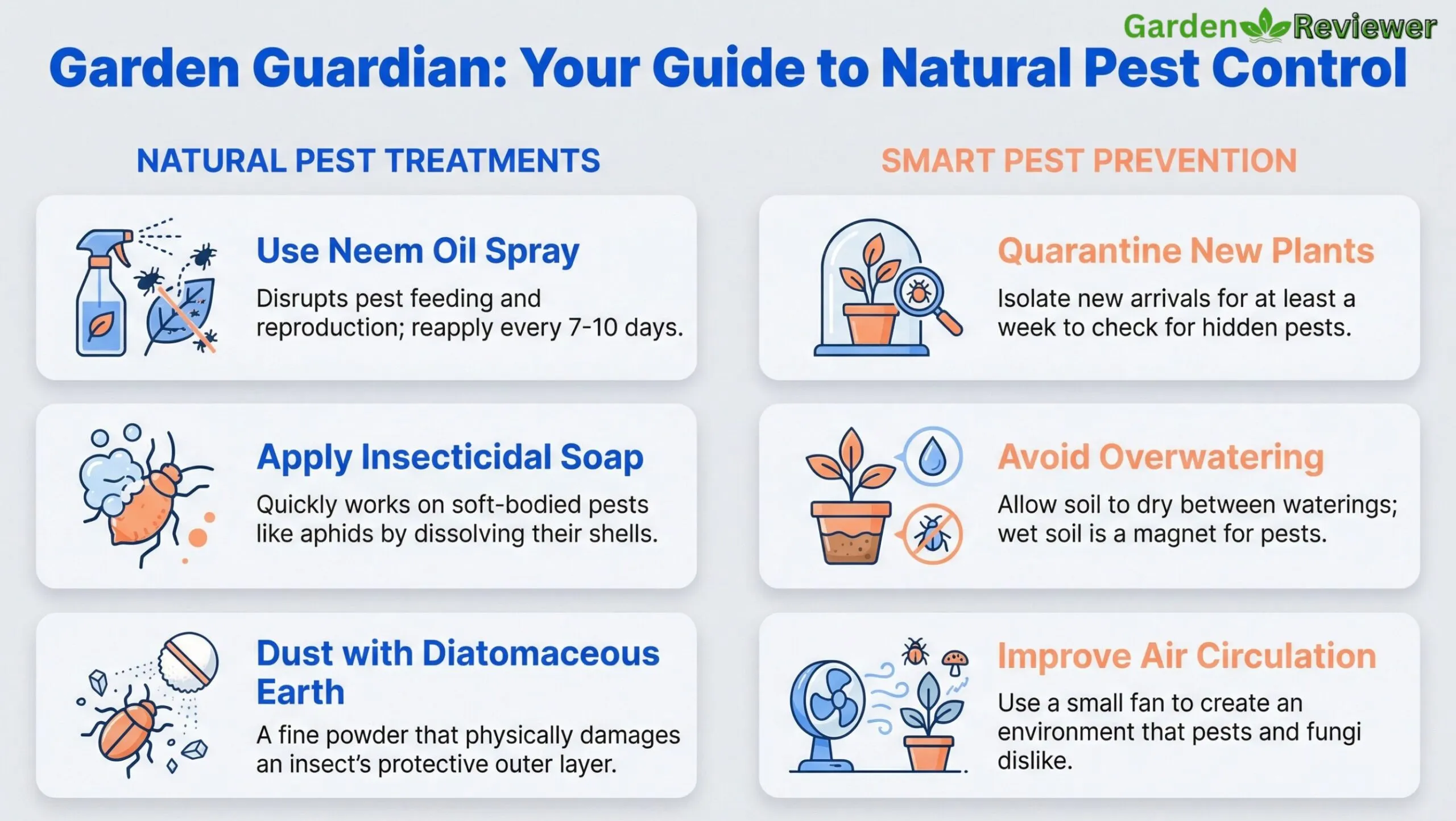 Prevent Black Bugs on plant