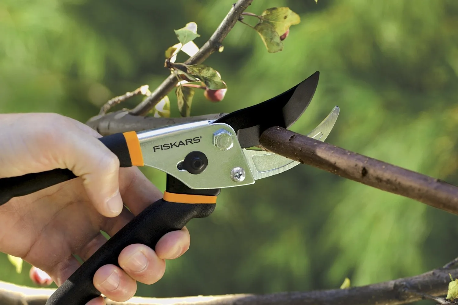 Traditional bypass pruning shears