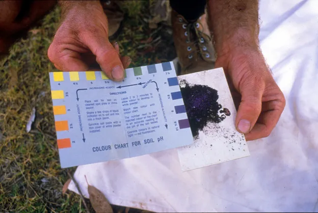 Testing garden soil against a colour chart for soil pH