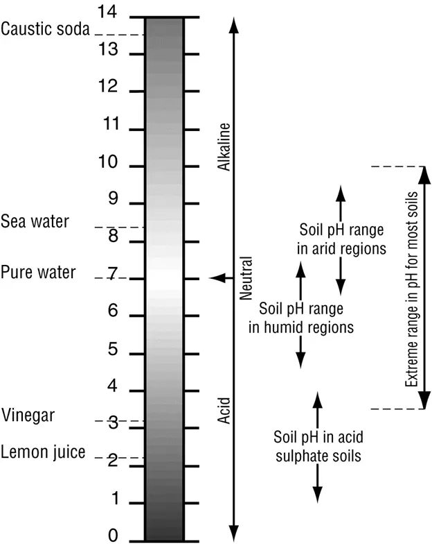 A pH scale from acidic to alkaline showing typical soil ranges