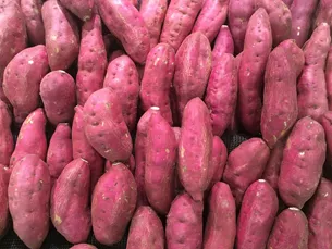 A pile of freshly harvested red potatoes
